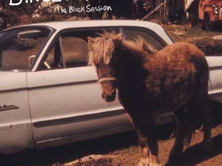 LP - Dinosaur Jr. - The Black Session: Live In Paris 1993 on Sale