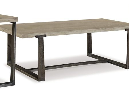 Dalenville Coffee Table with 2 End Tables in Gray Fashion