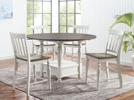 Joanna 5 Piece Drop-leaf Counter Set(Counter Table & 4 Counter Chairs) Online