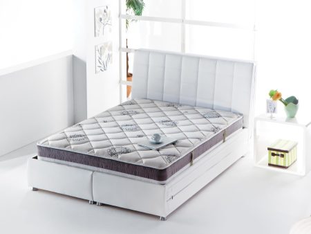 Dream Firm Twin Mattress Online