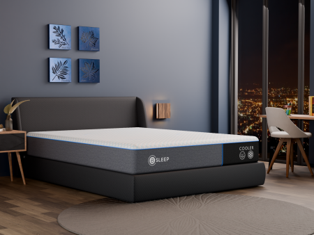 Bsleep Cooler 10  Memory Foam Full Mattress Online