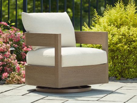 Serene Bay Dark Brown White Outdoor Swivel Glider Chair with Cushion Supply